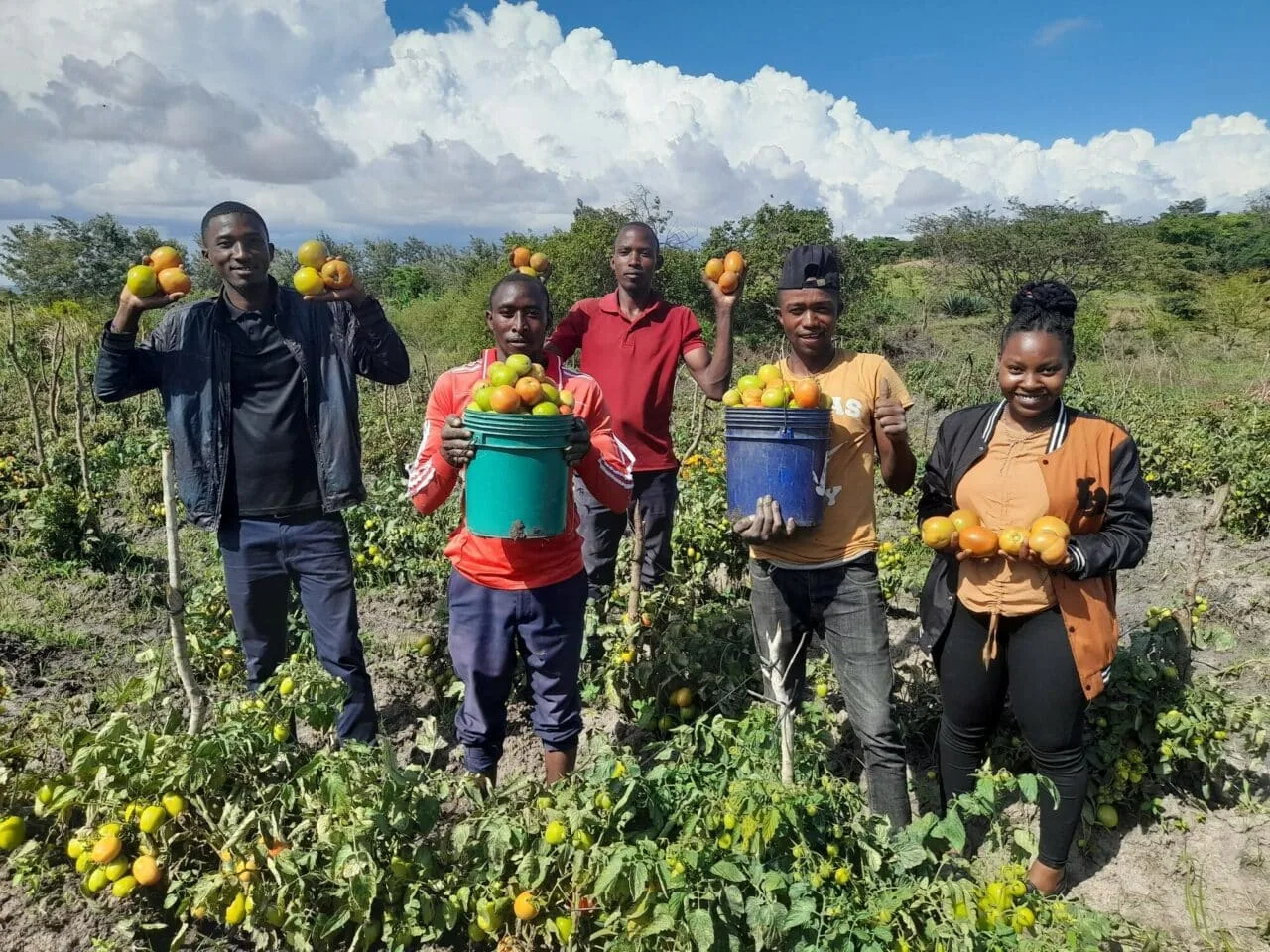 Agricultural Loan
